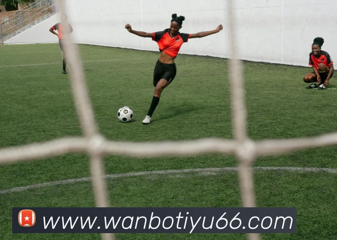 万博体育平台生态图